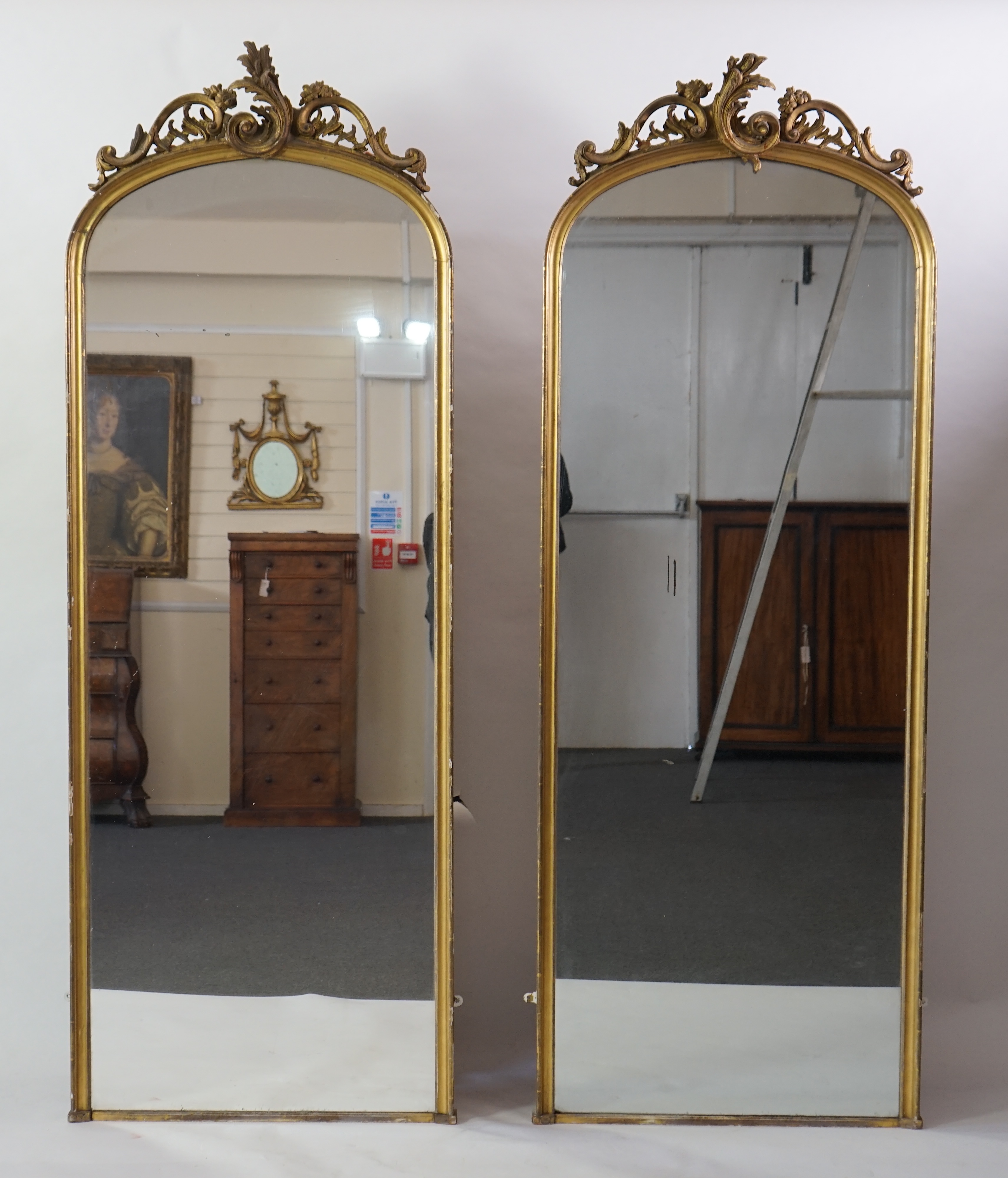 A pair of late 19th century giltwood and gesso pier glasses, with asymmetrical rococo scroll crests and arched plates, 80cm wide, 221cm high. Condition - fair